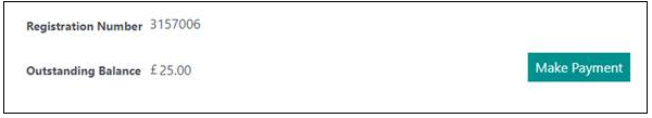 An image of the make a payment panel